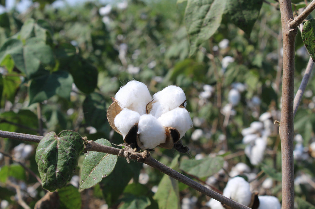 Pourquoi les matières naturelles rassurent les parents