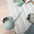 Boîte à Sucettes Camille — Sauge du Désert